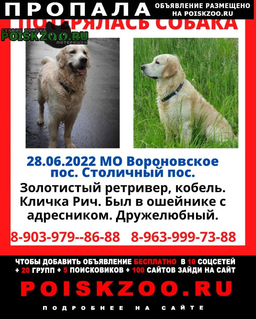 Пропала собака кобель Вороново