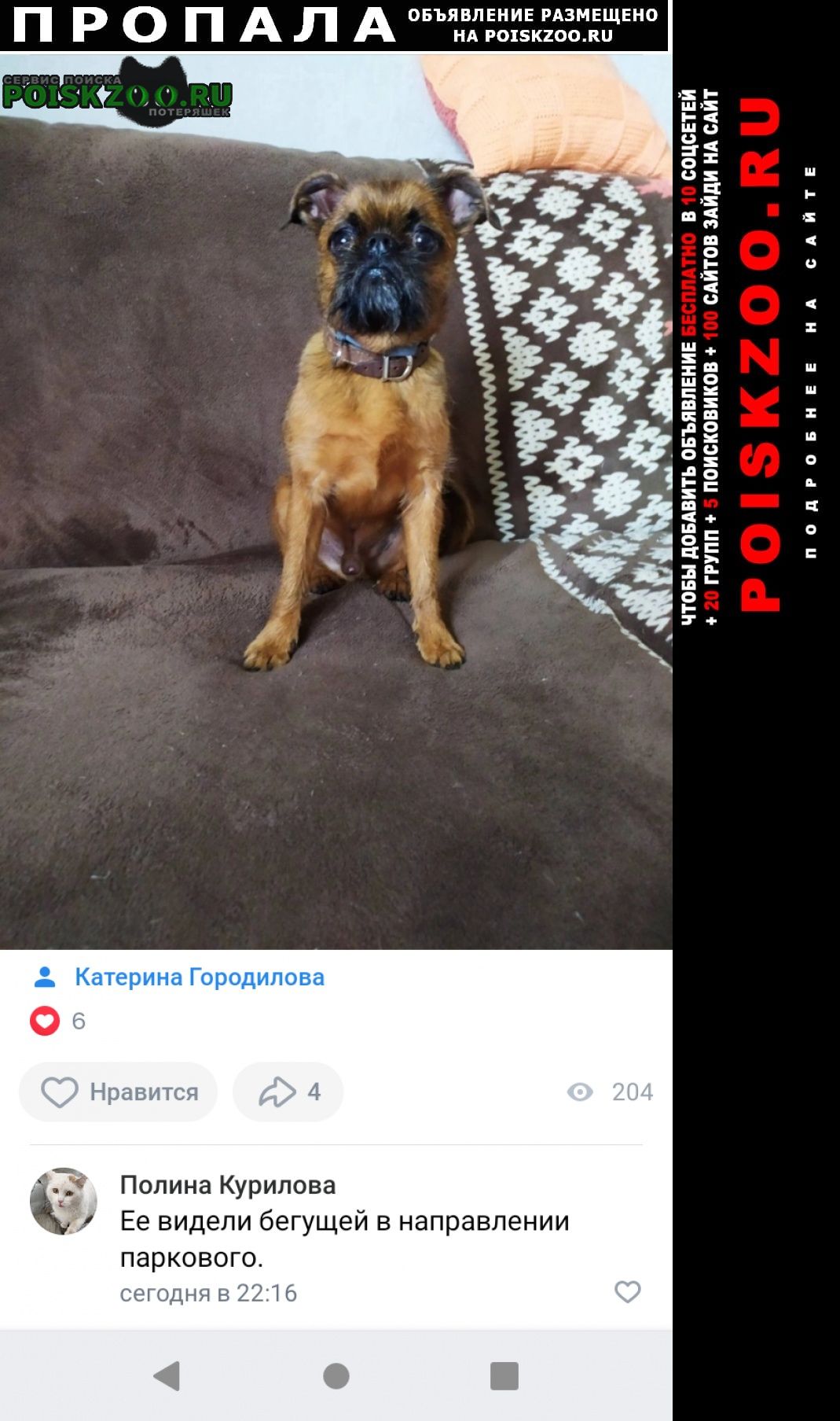Пропала собака кобель Челябинск