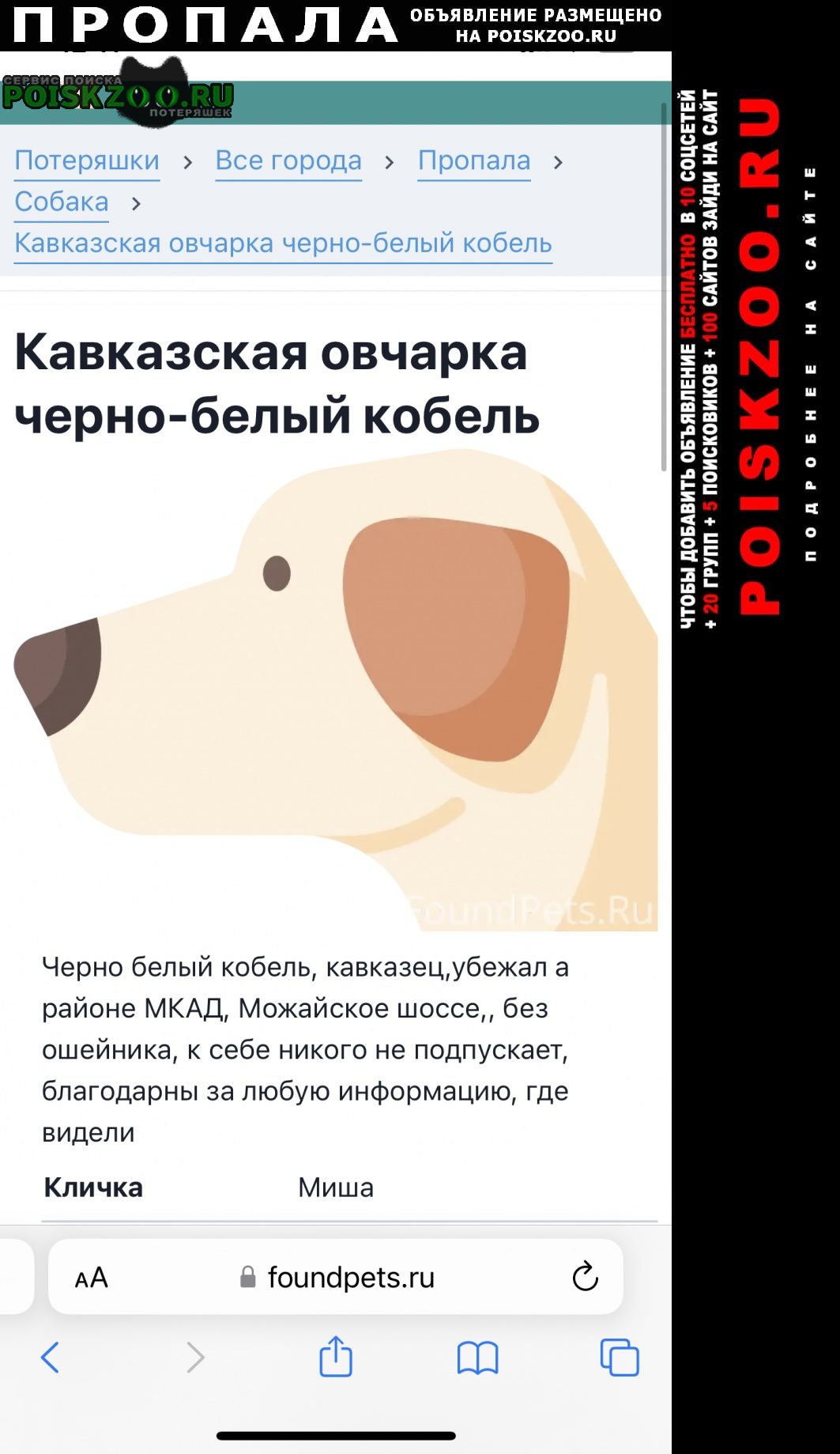 Пропала собака кавказская овчарка, чёрная с белым, коб Москва