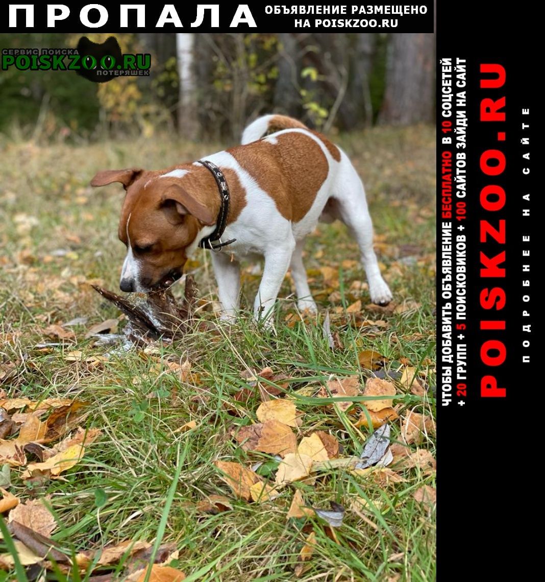 ���� ������� ������ ������