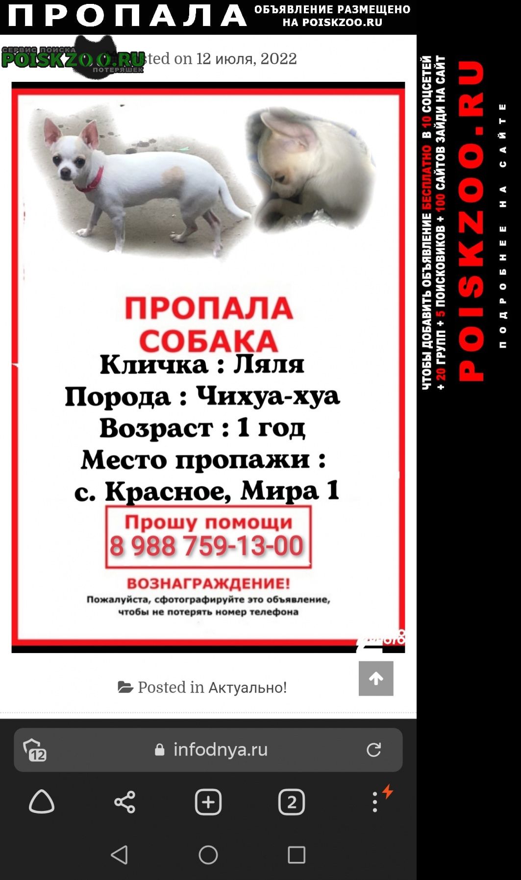 Пропала собака помогите найти Ставрополь