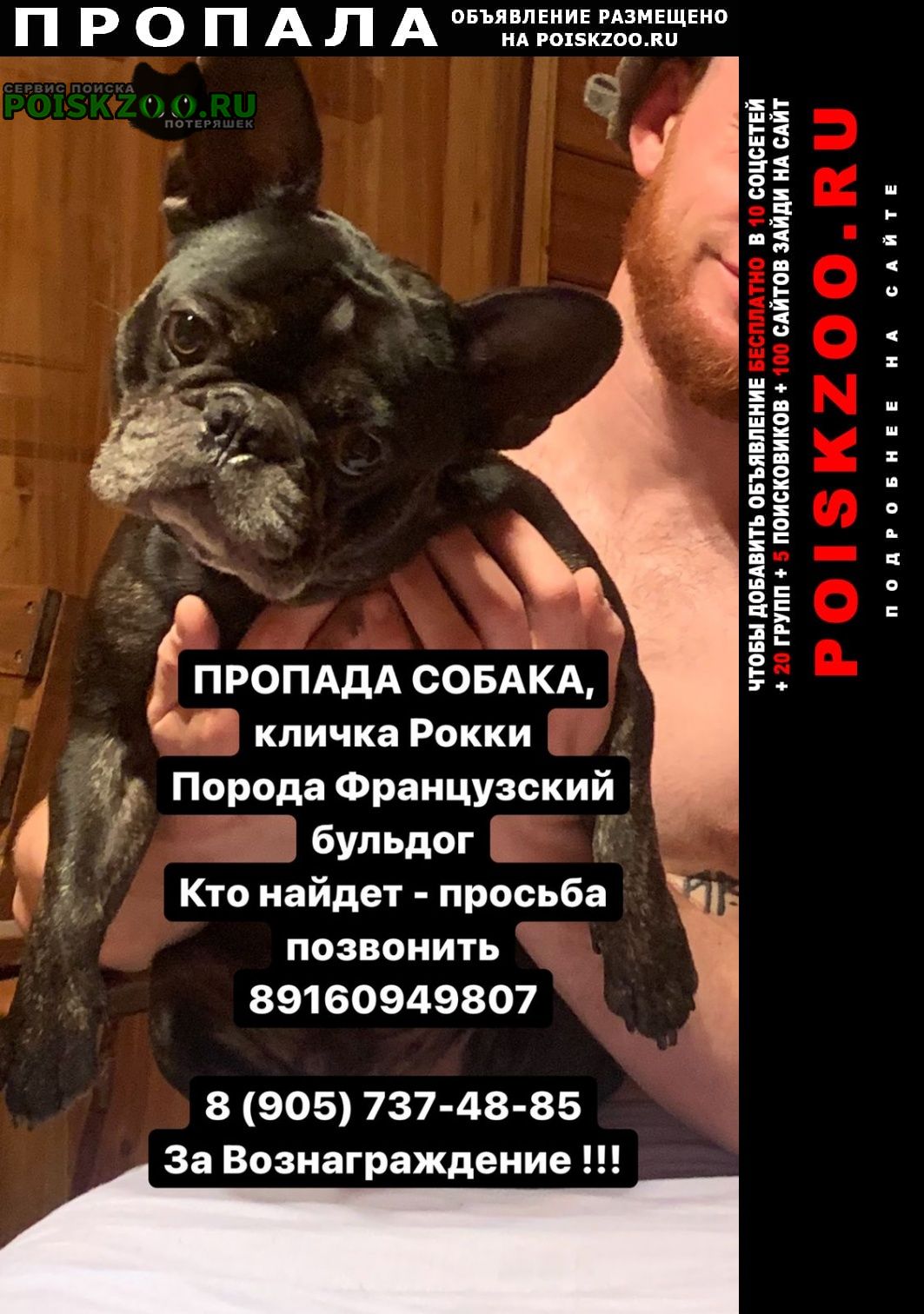 Пропала собака кобель французский бульдог по кличке рокки черн Москва
