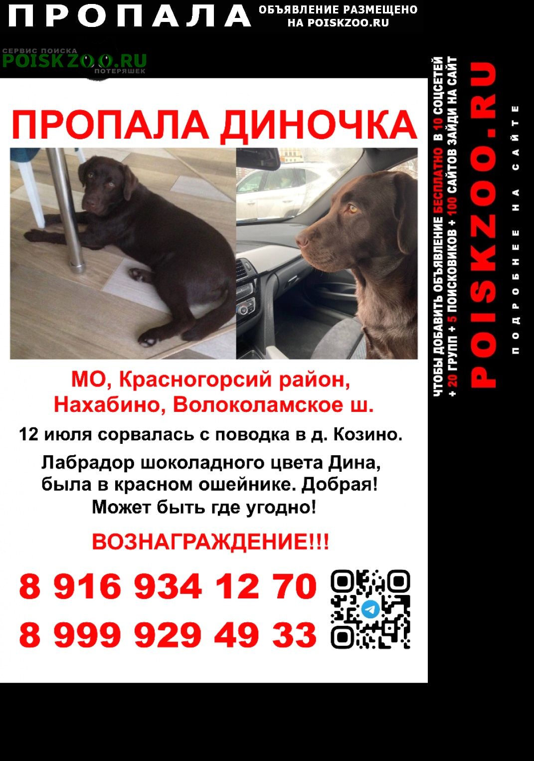 Пропала собака https://t.me/dina_help Красногорск