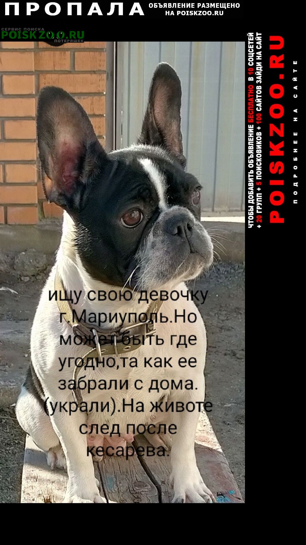 ���� ������� ������ ����������� �������