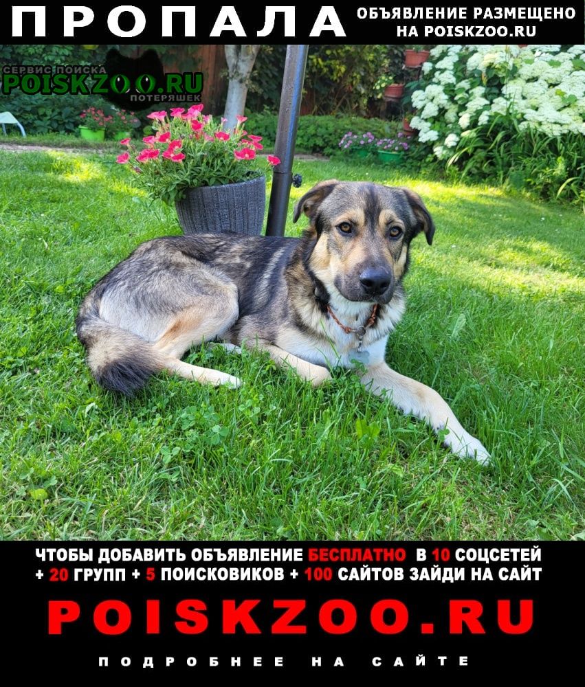 ���� ������� ������ ������