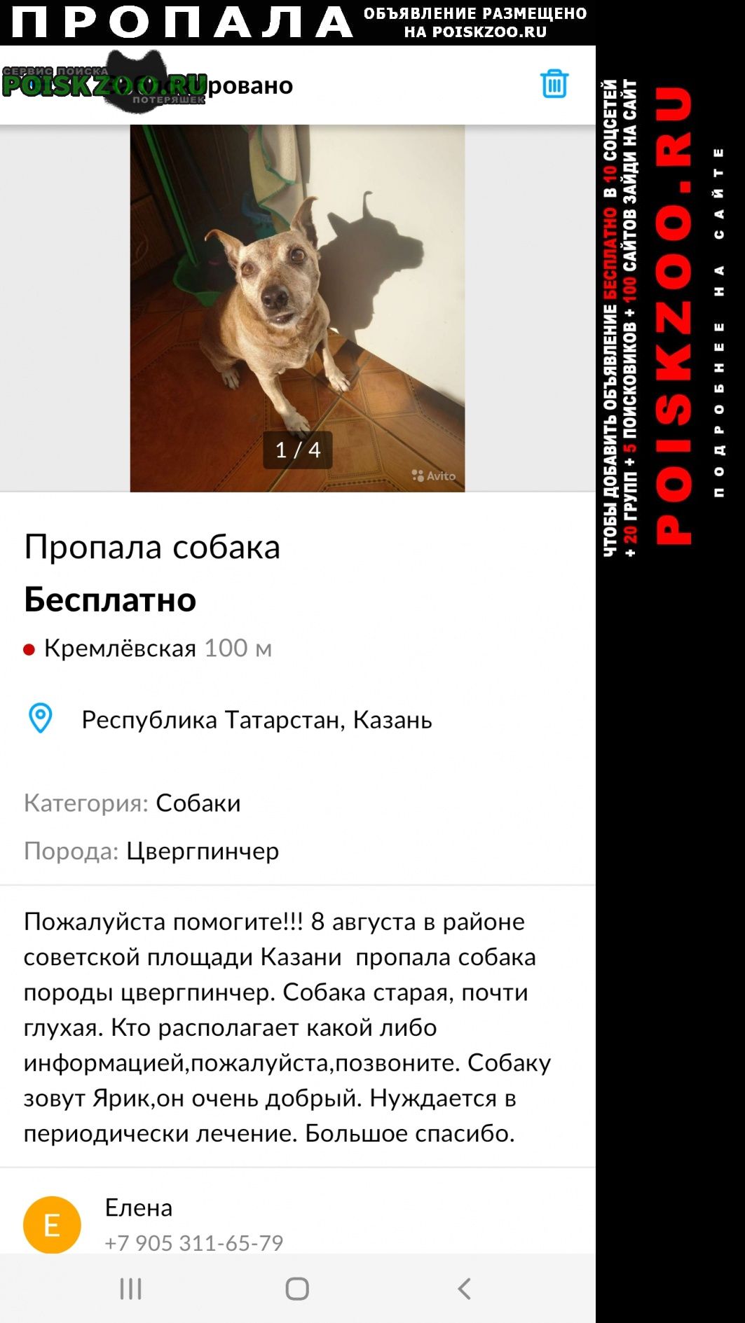 Казань Пропала собака кобель