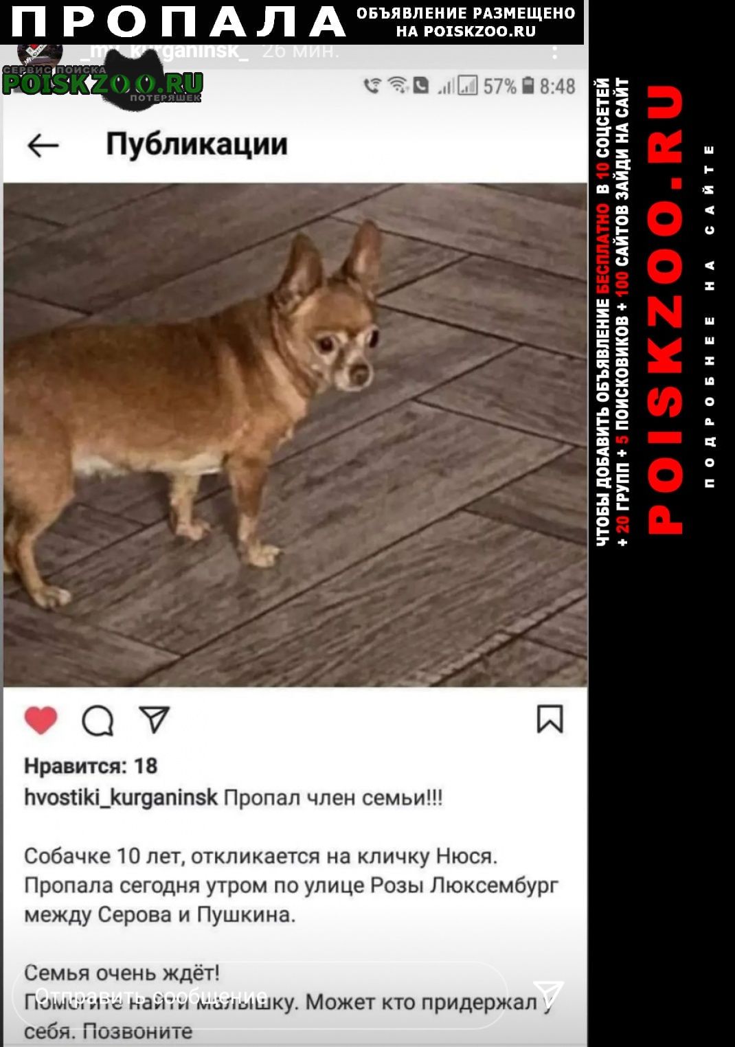 Пропала собака, член семьи Курганинск