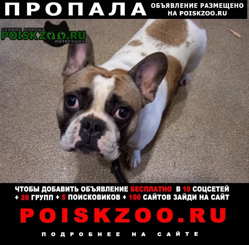 ���� ������� ������