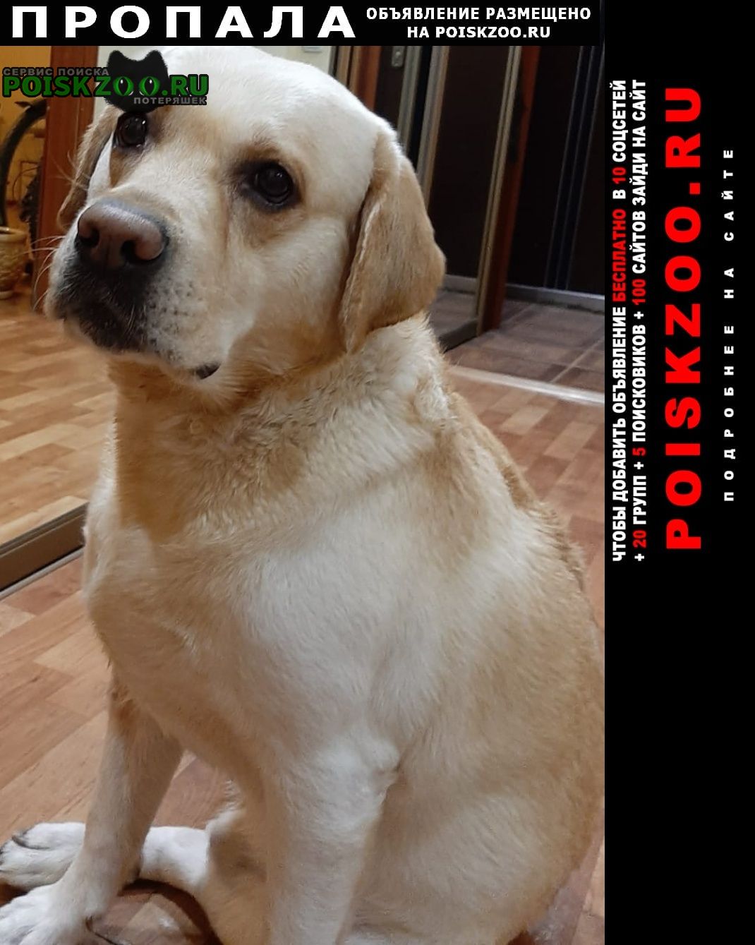 ���� ������� ������ ������ �� �����