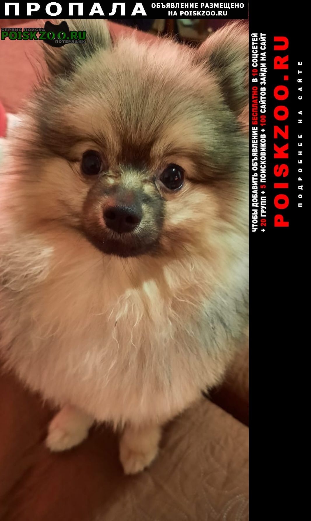 ���� ������� ������ ������ ����