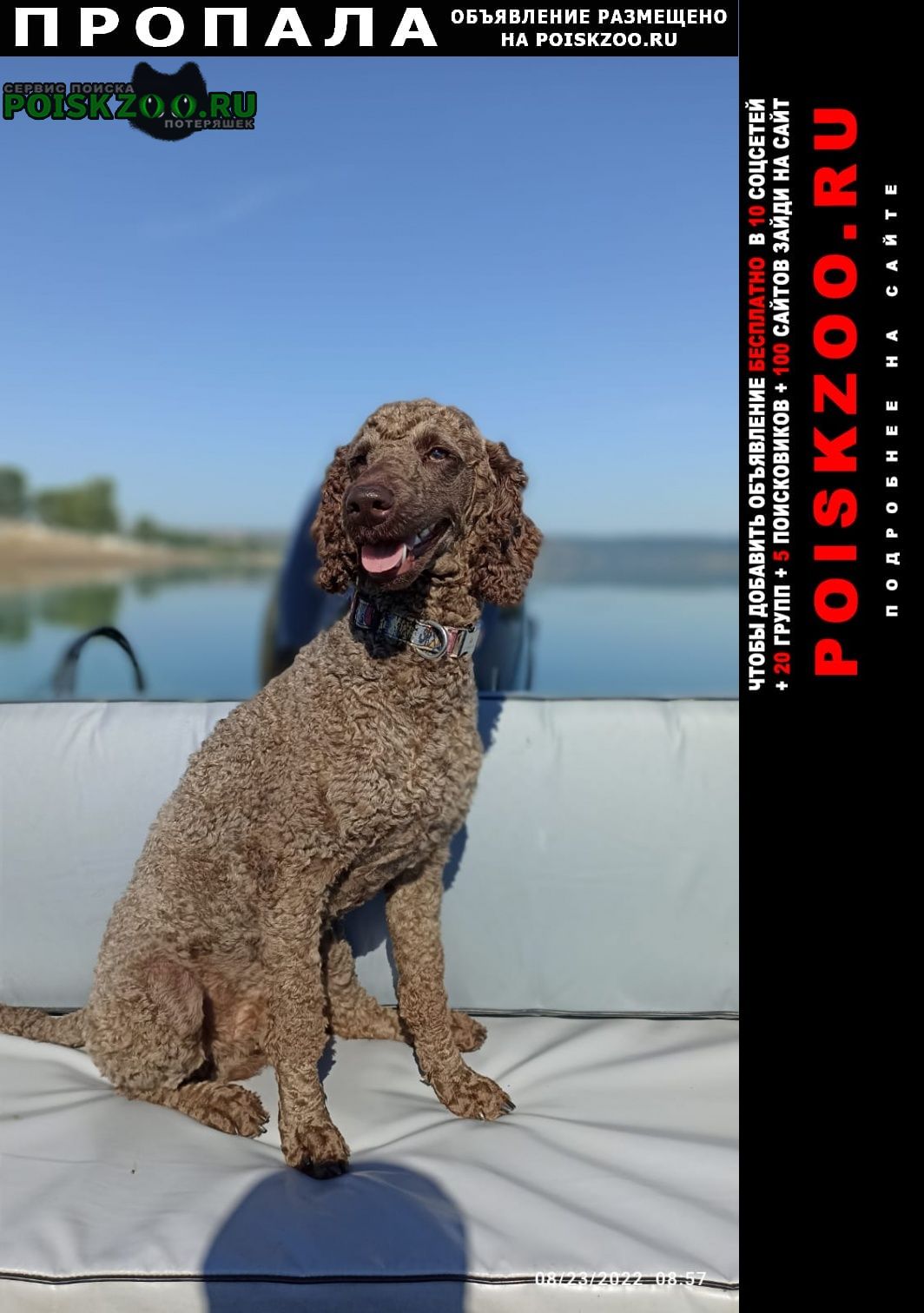 ���� ������� ������ ������