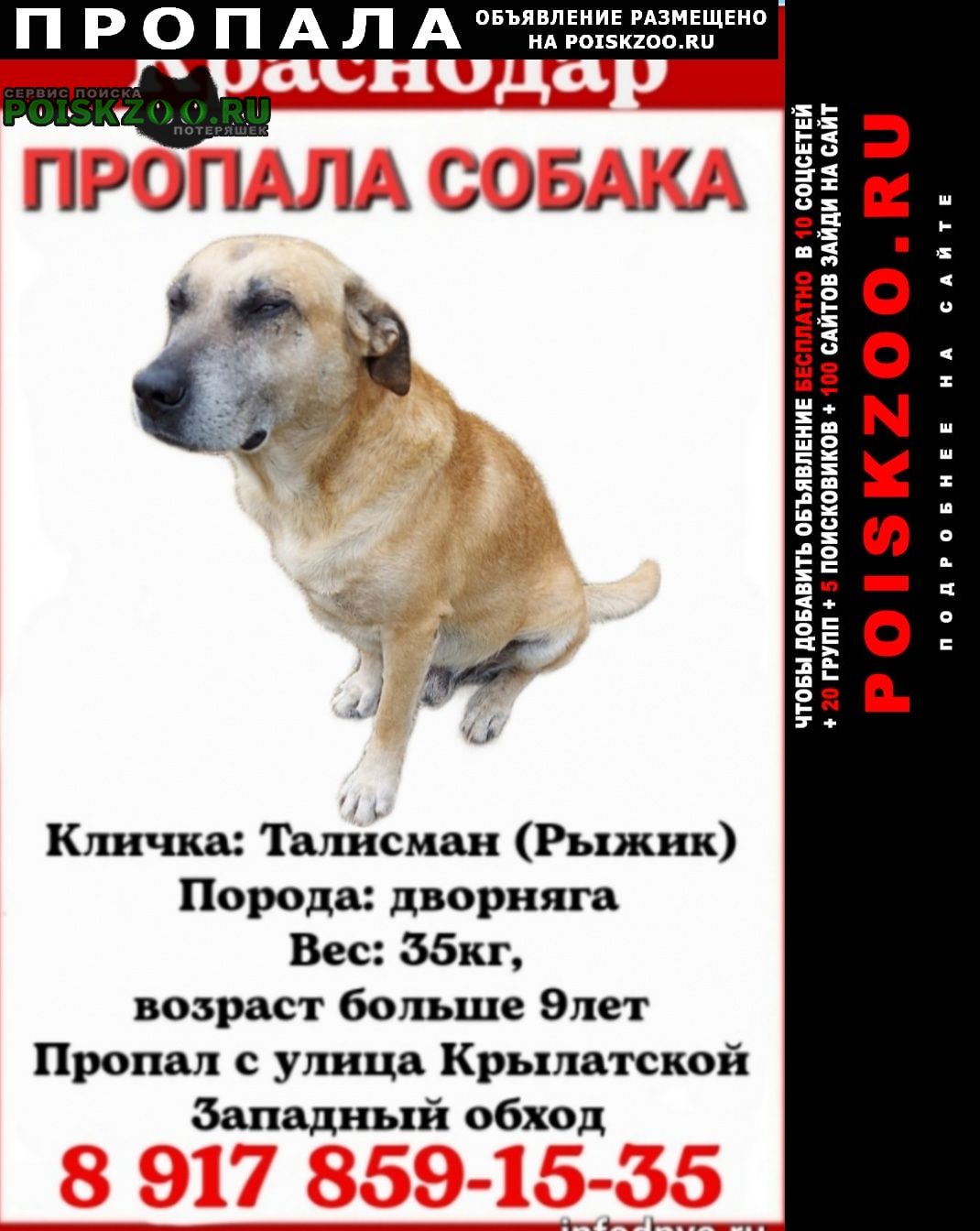 Пропала собака кобель Краснодар
