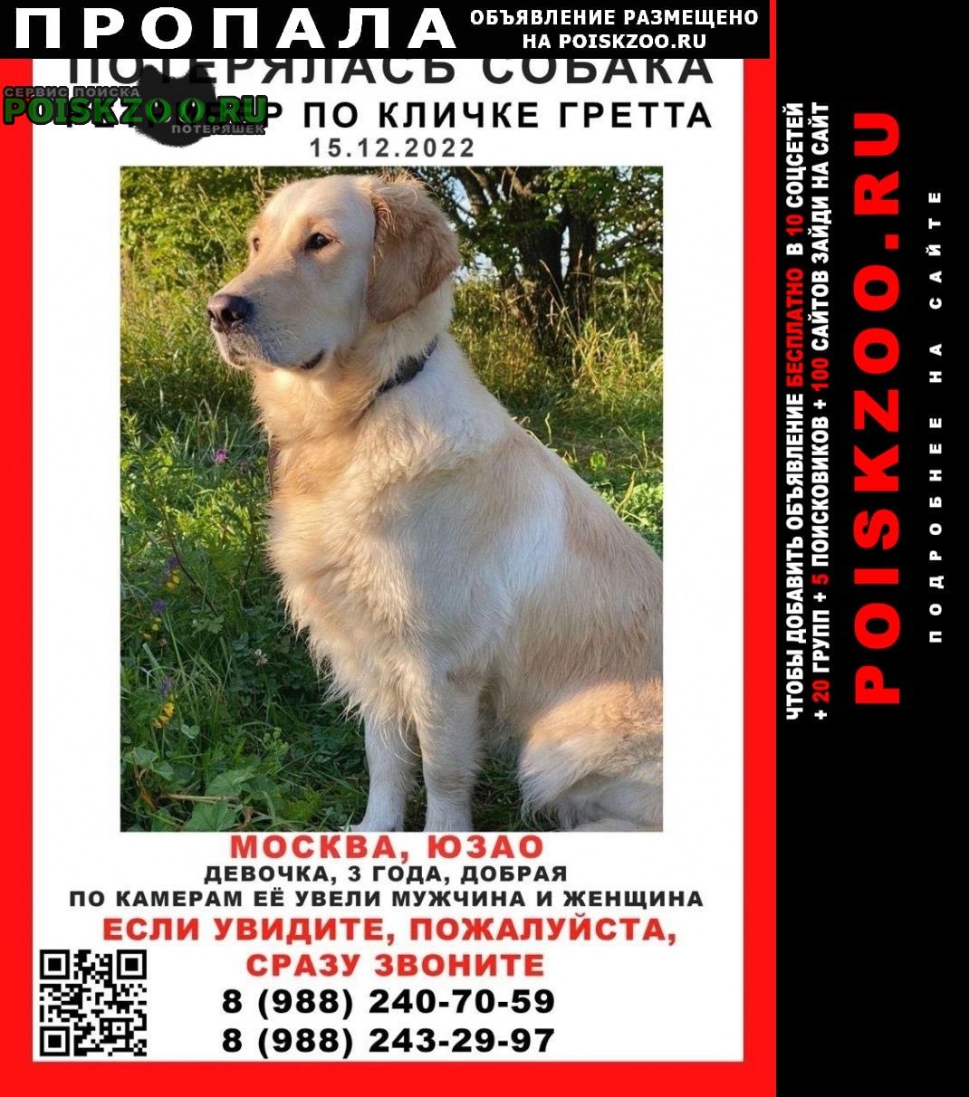 Пропала собака украдена Москва
