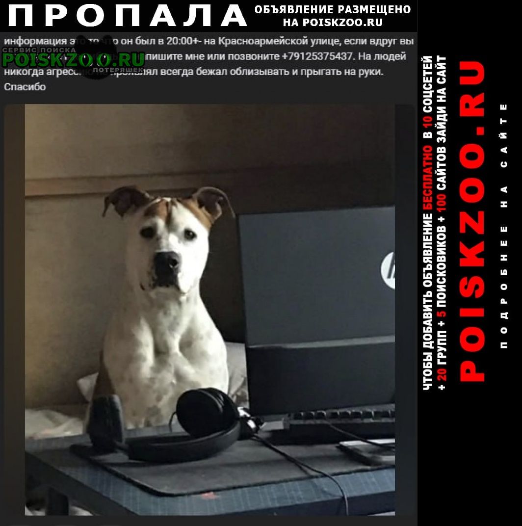 Пропала собака кобель Крымск