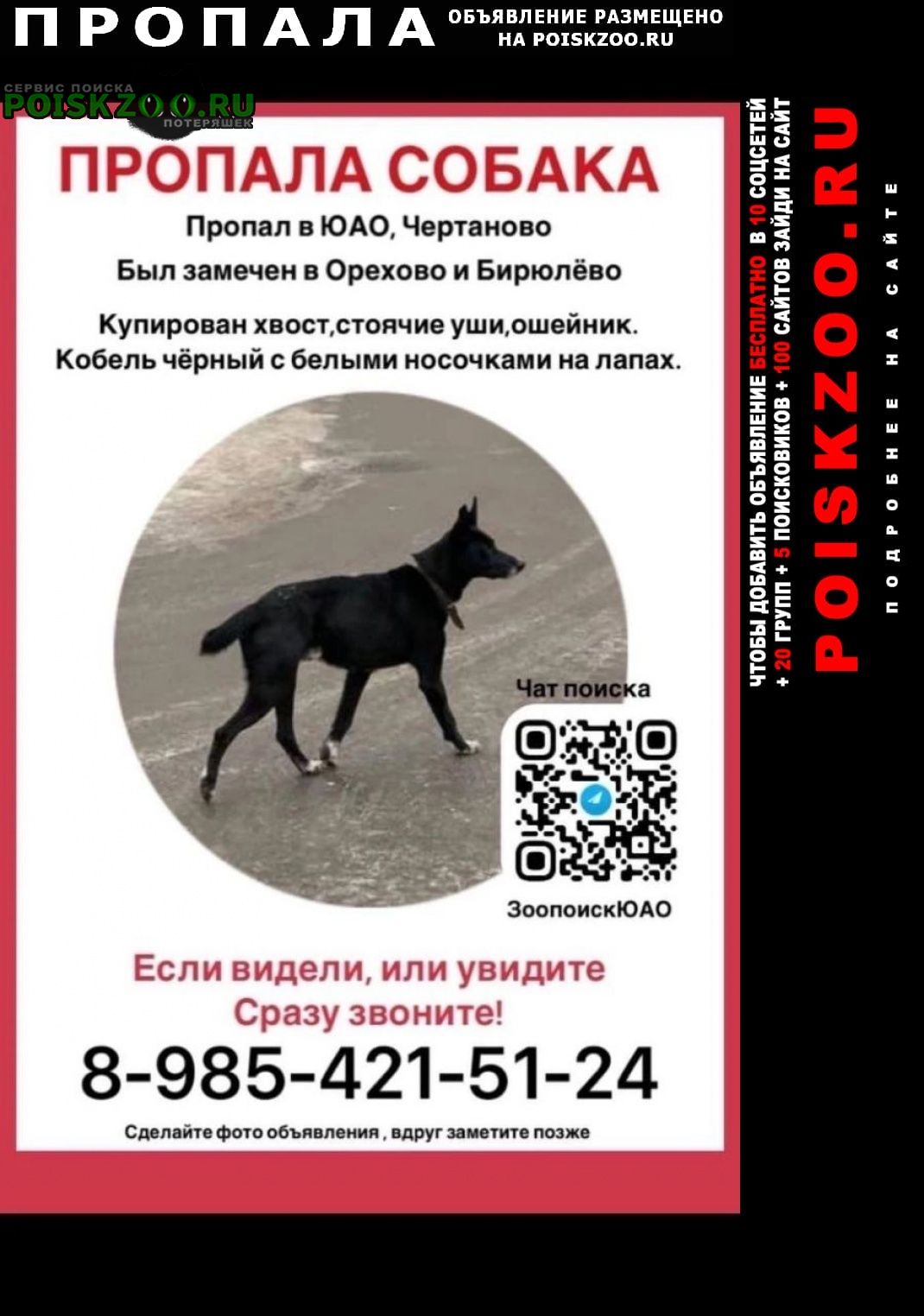 Москва Пропала собака кобель помогите найти собаку