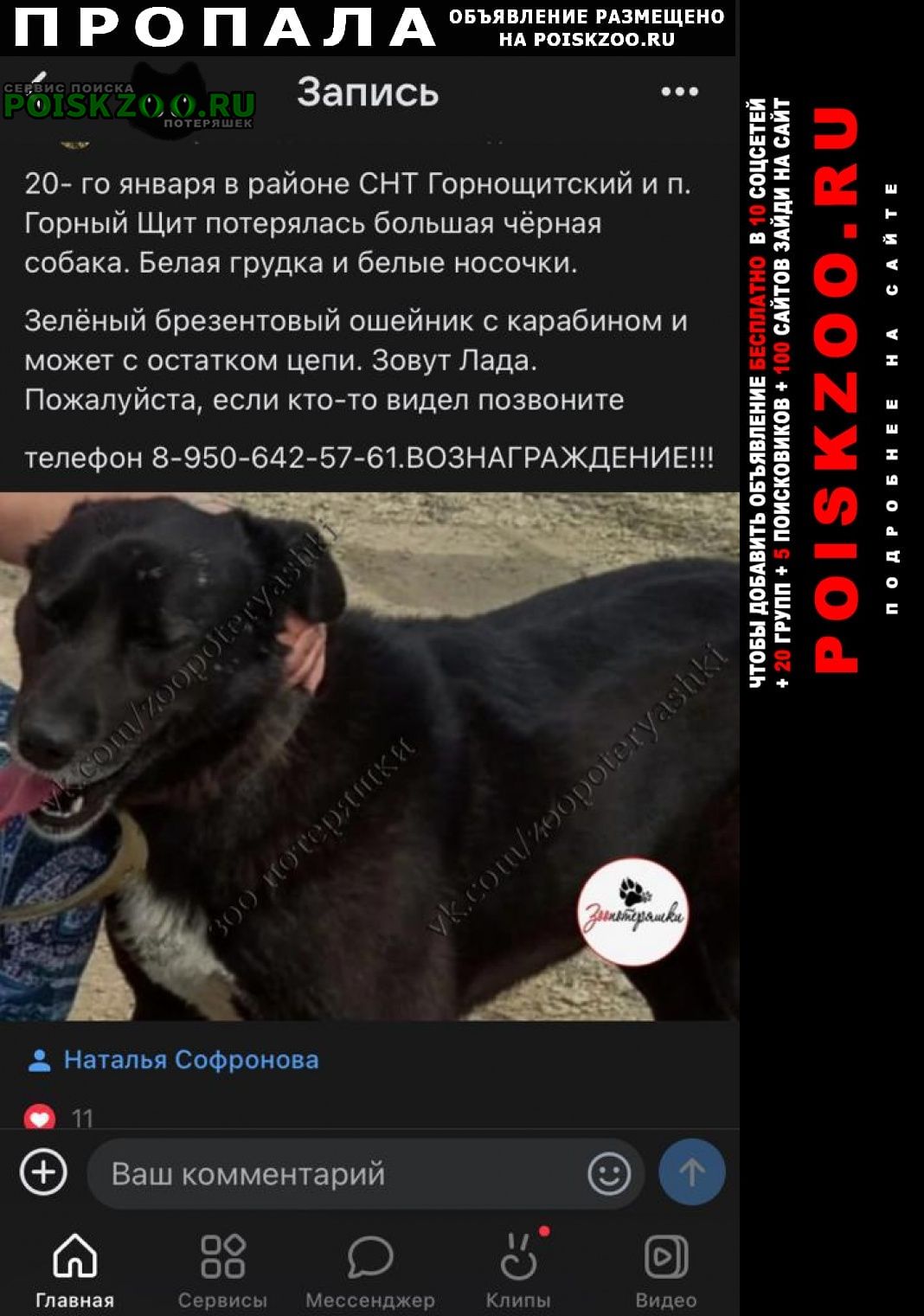 Пропала собака Екатеринбург