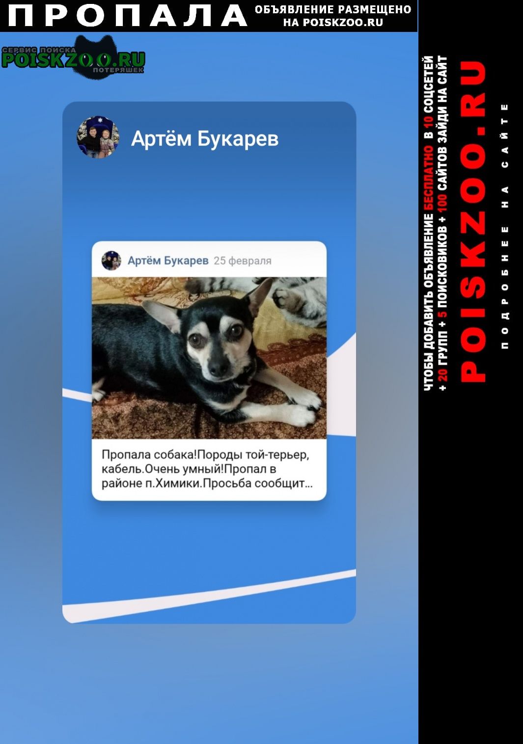 Пропала собака кобель помогите пожалуйста найти собачку Новомосковск