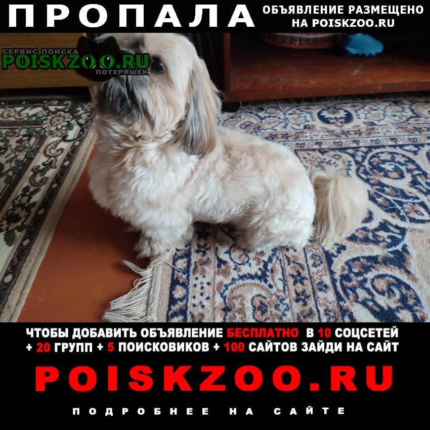 Пропала собака кобель в районе августовского канала Гродно