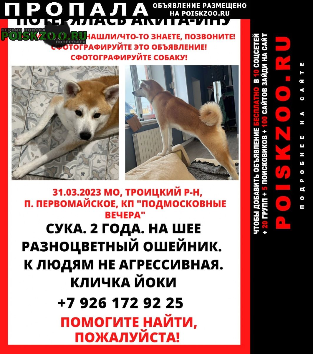 Пропала собака акита ину троицкий округ Москва