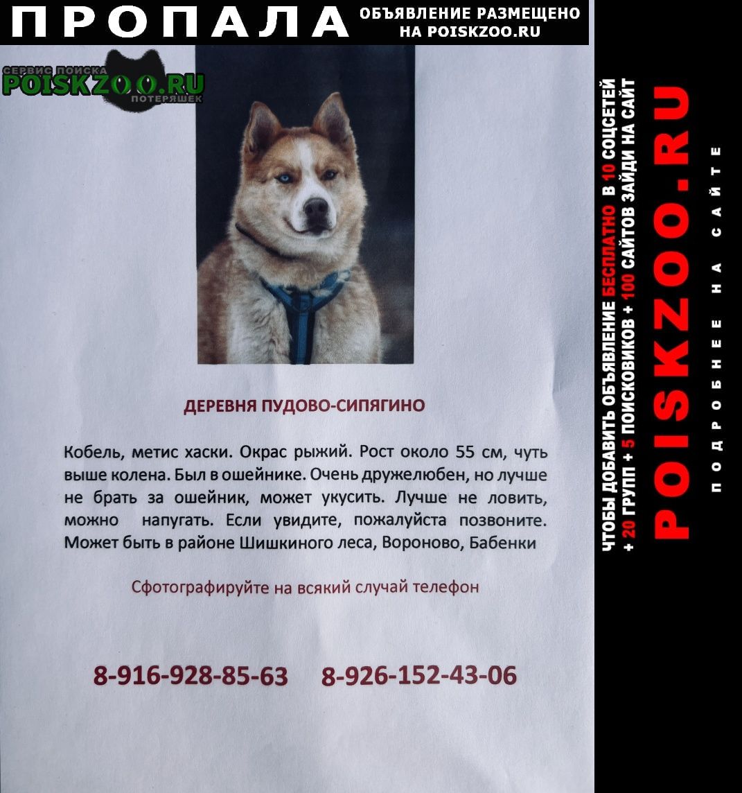 Пропала собака кобель Вороново