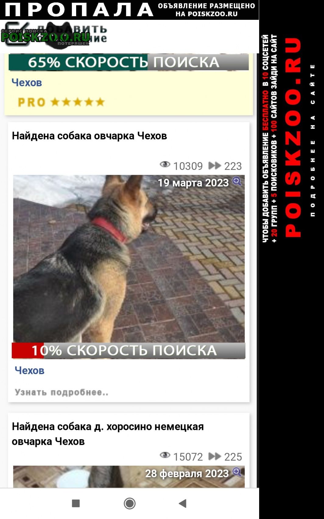 Пропала собака 3 года ники девочка восто Чехов
