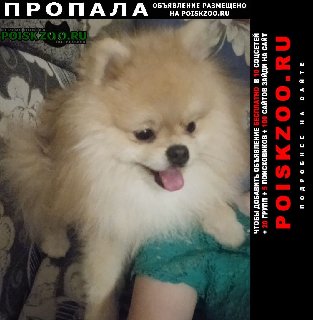 Славянск-на-Кубани Пропала собака кобель