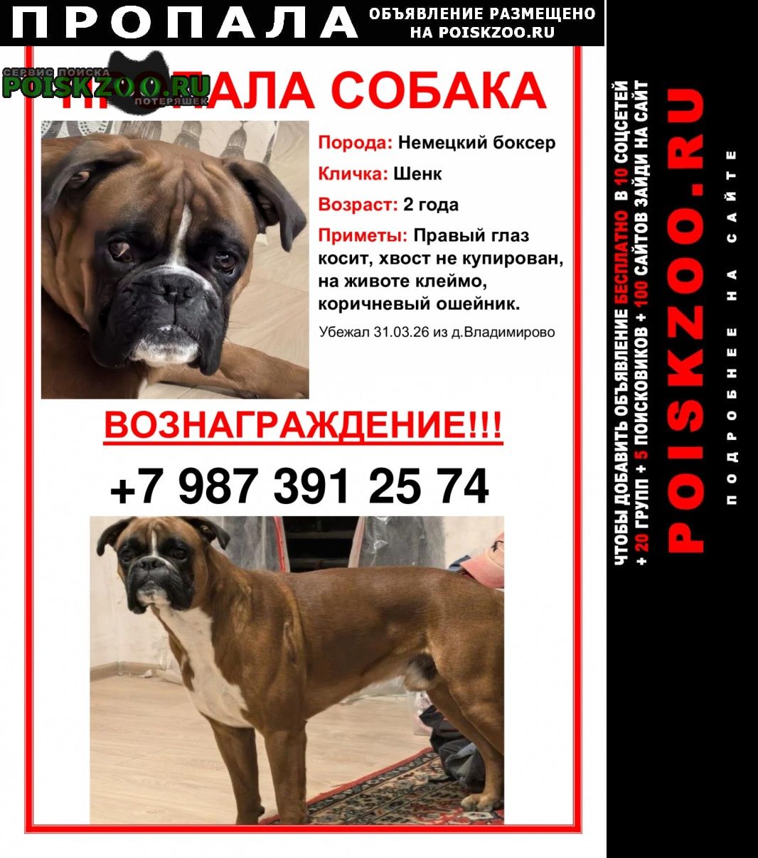 ���� ������� ������