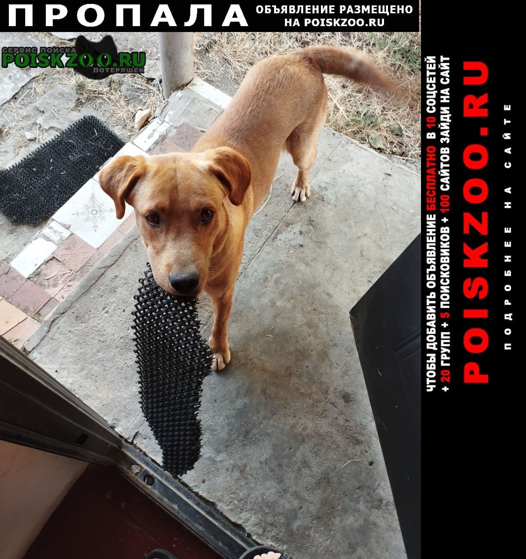 Пропала собака кобель Крымск