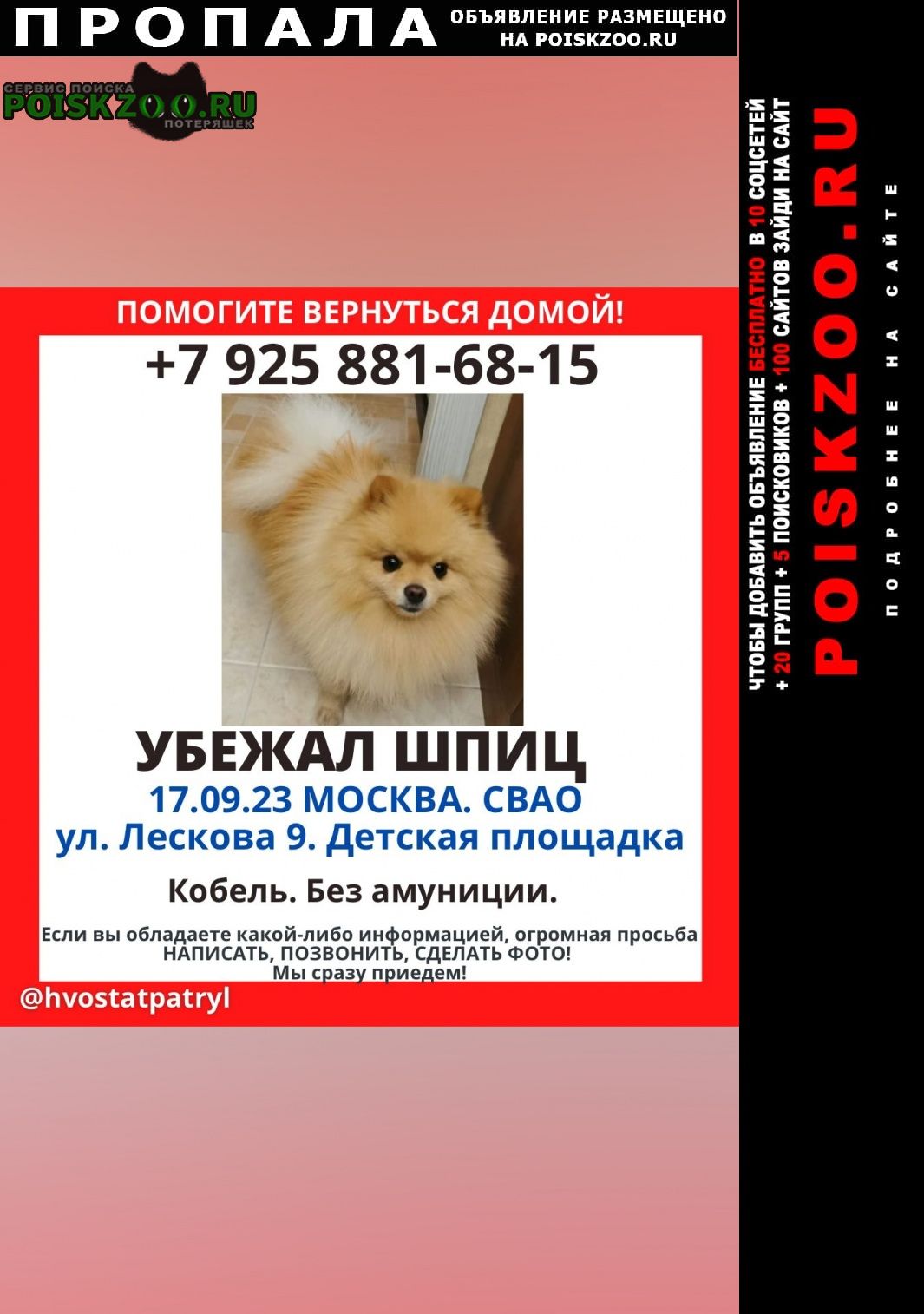 Пропала собака кобель померанский шпиц Москва