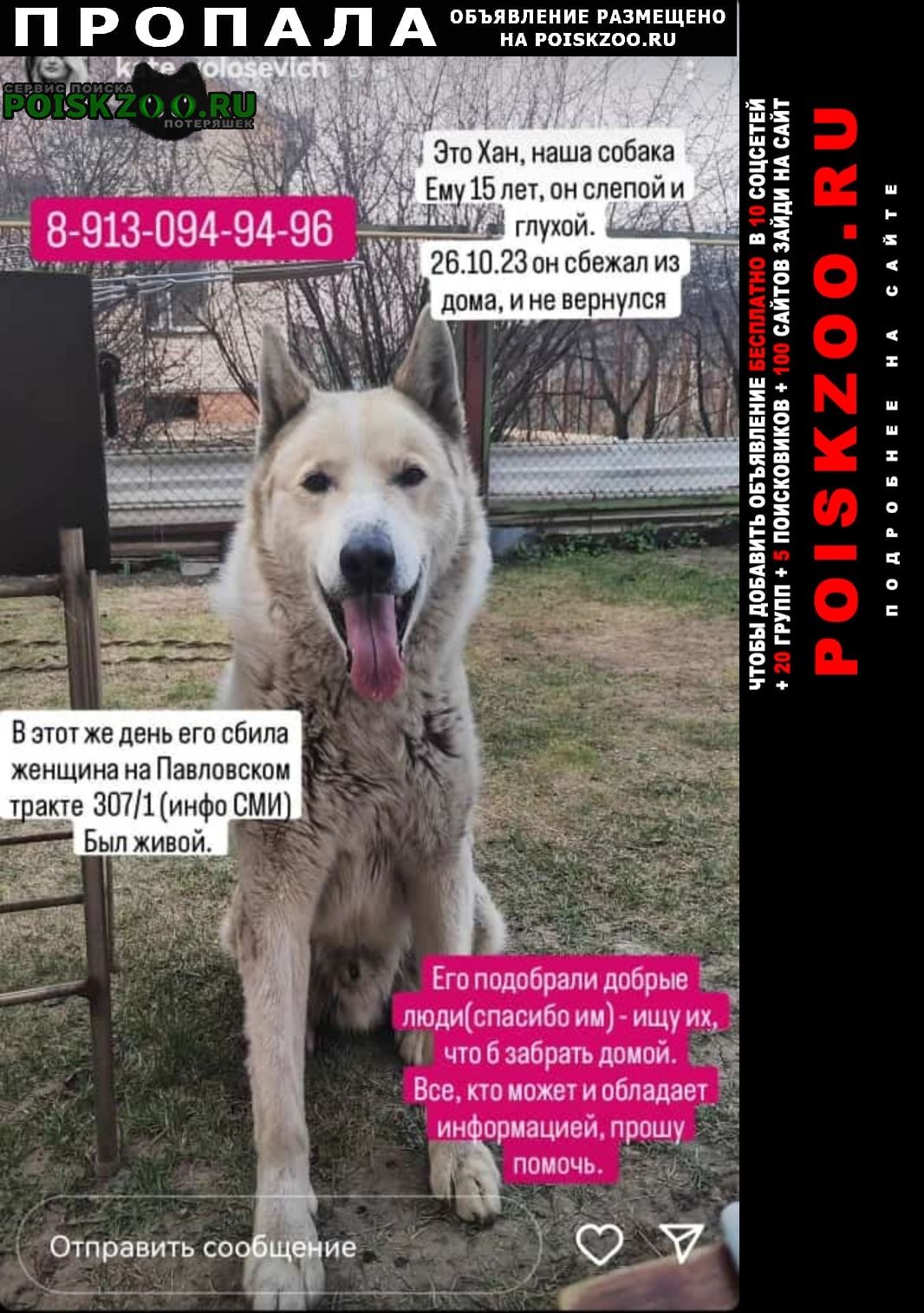 Пропала собака кобель Барнаул