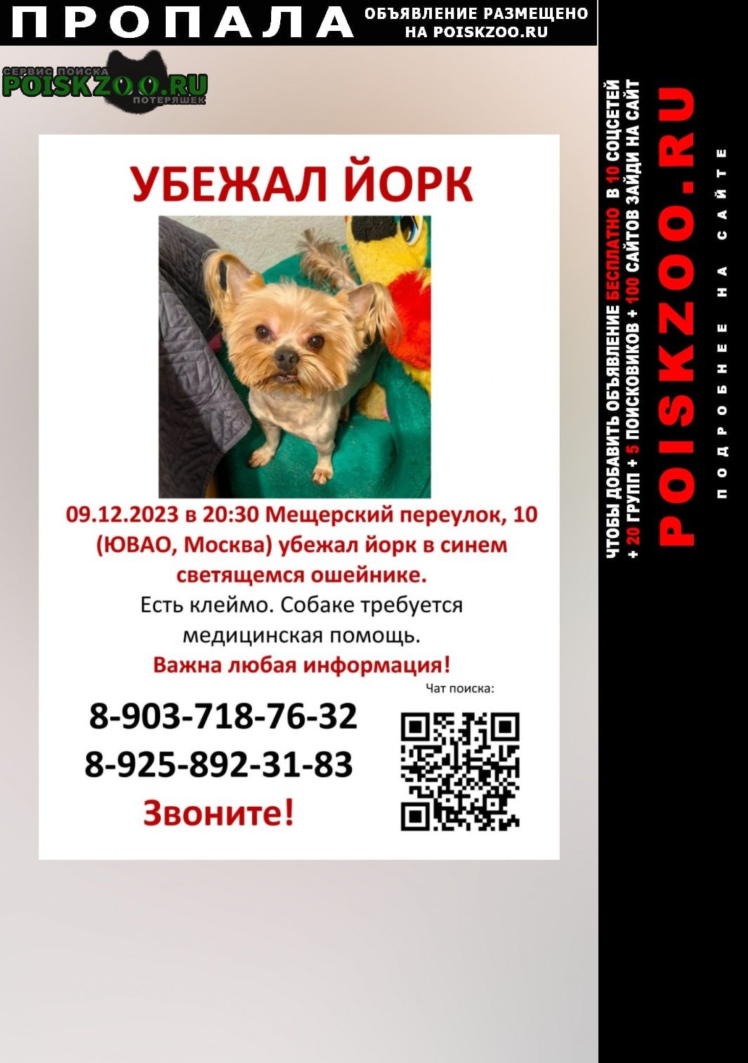Пропала собака кобель йоркширский терьер Москва