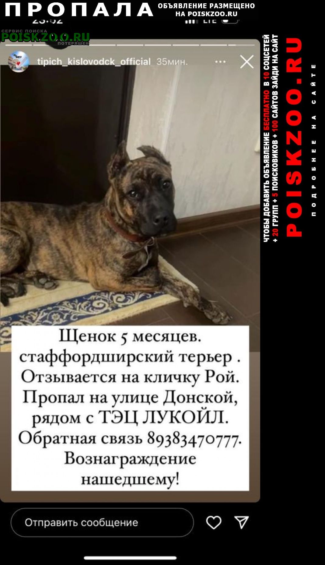 Пропала собака кобель Кисловодск
