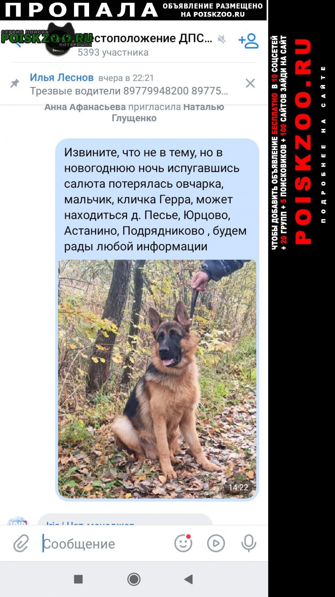 Пропала собака кобель немецкая овчарка Егорьевск