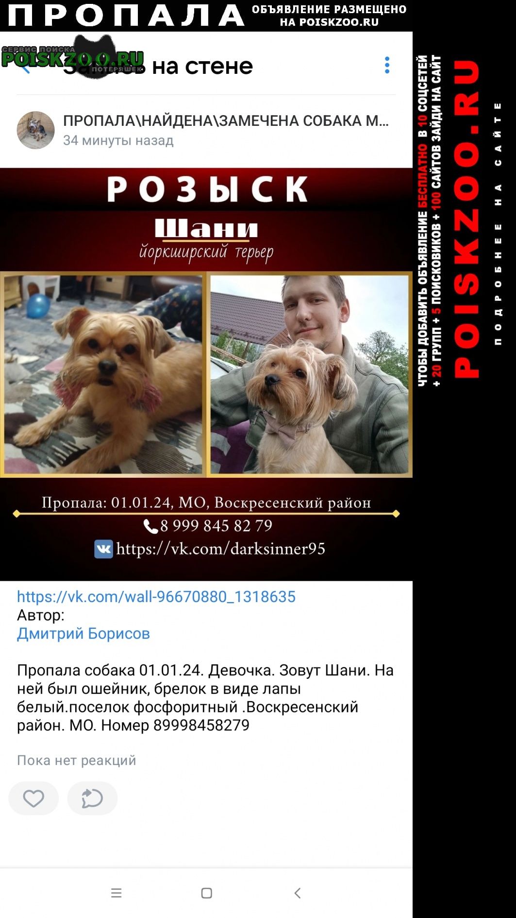 Пропала собака шани Воскресенск