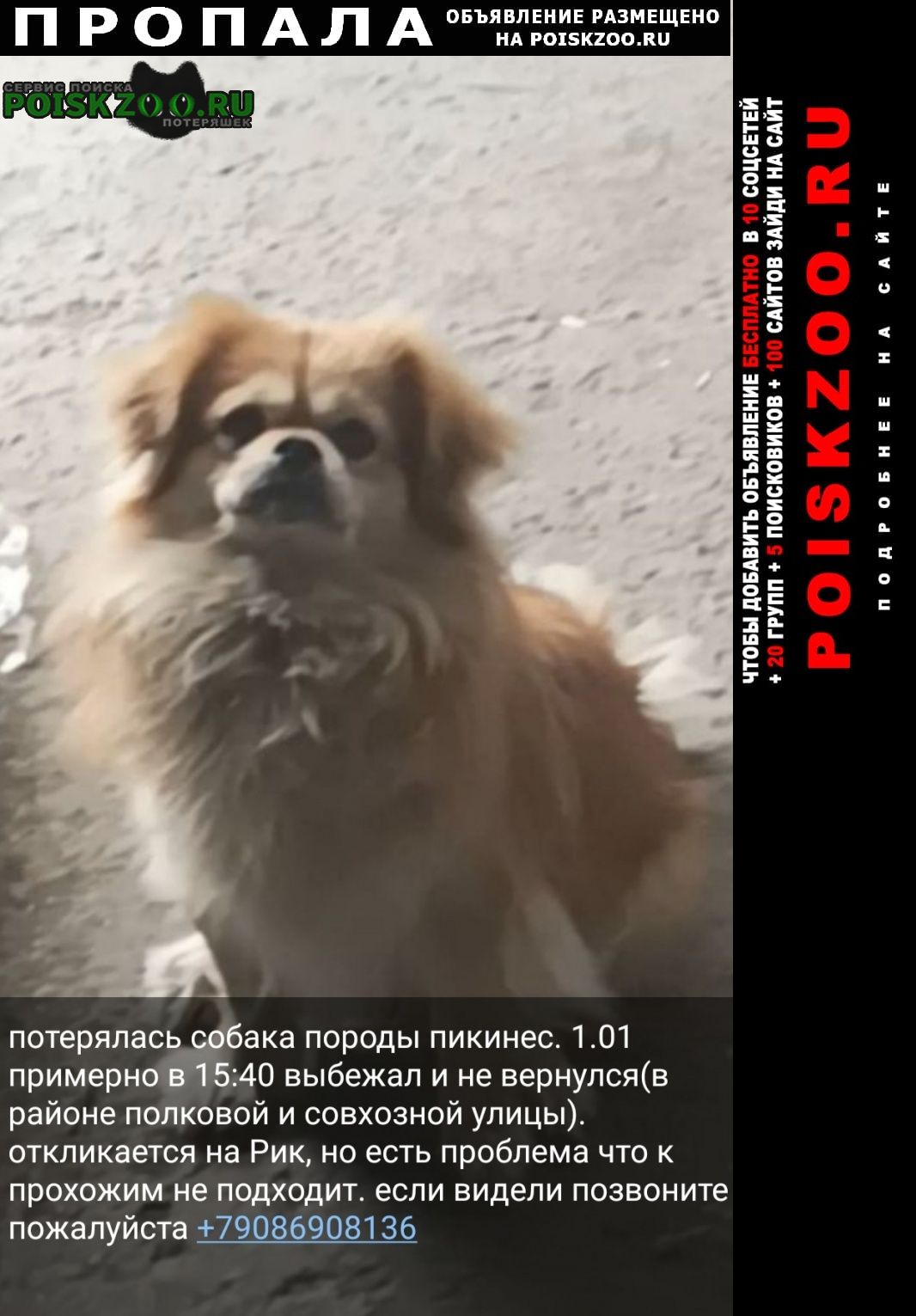 Пропала собака кобель Славянск-на-Кубани