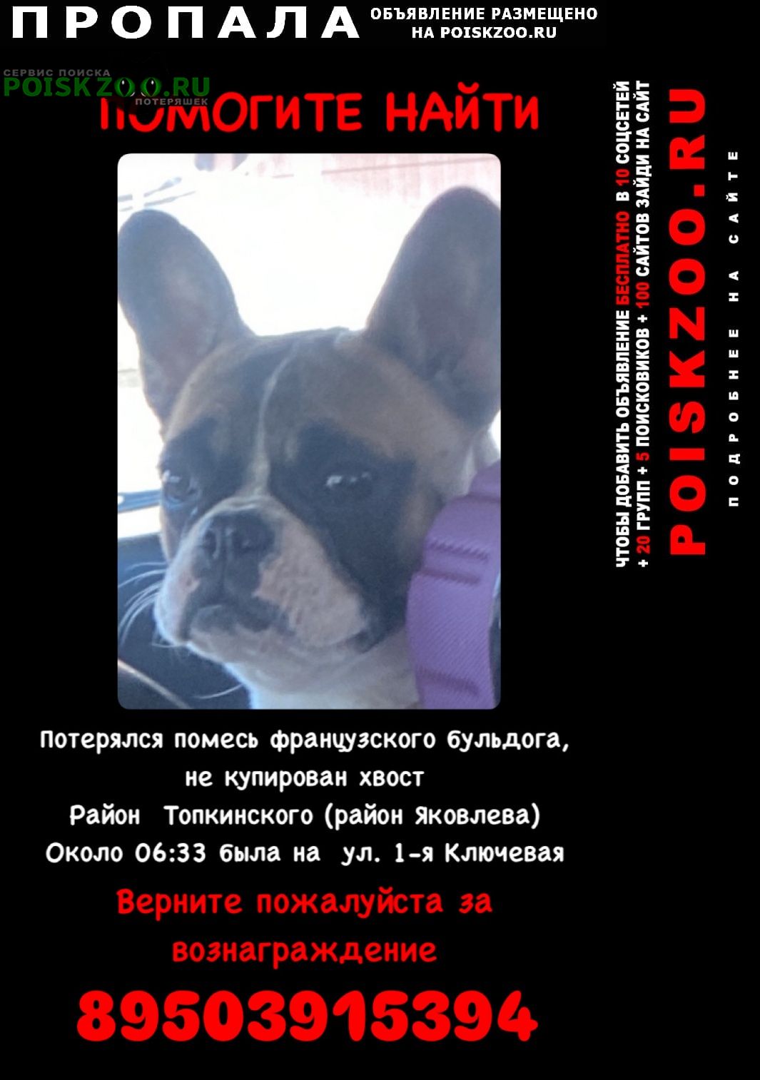 ���� ������� ������ ������ ������������ ��������