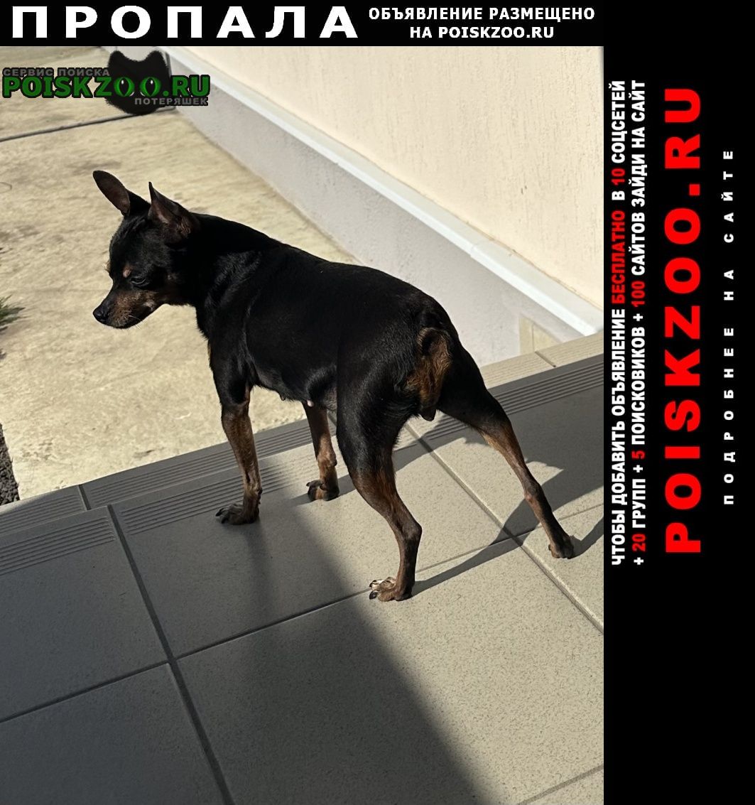   29. 04   
