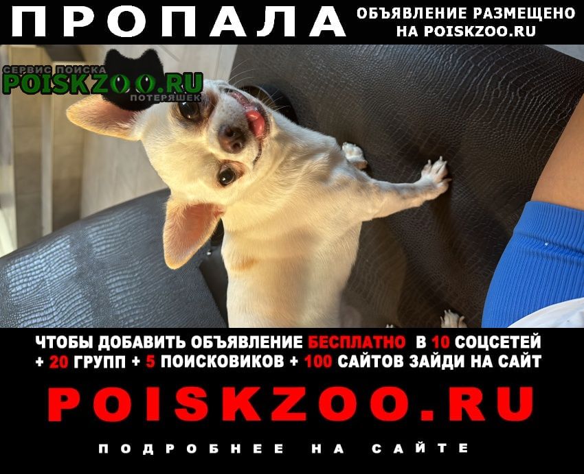   ,  ,  31   ( .)
