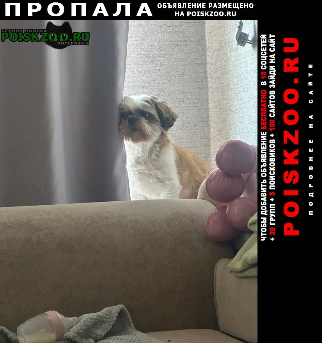 --   .