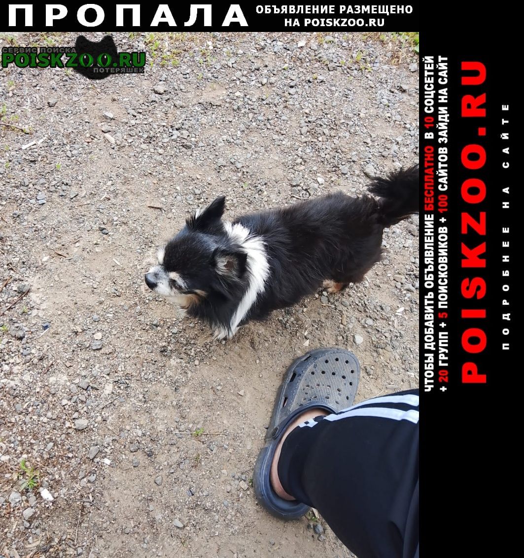 ���� ������� ������ ������