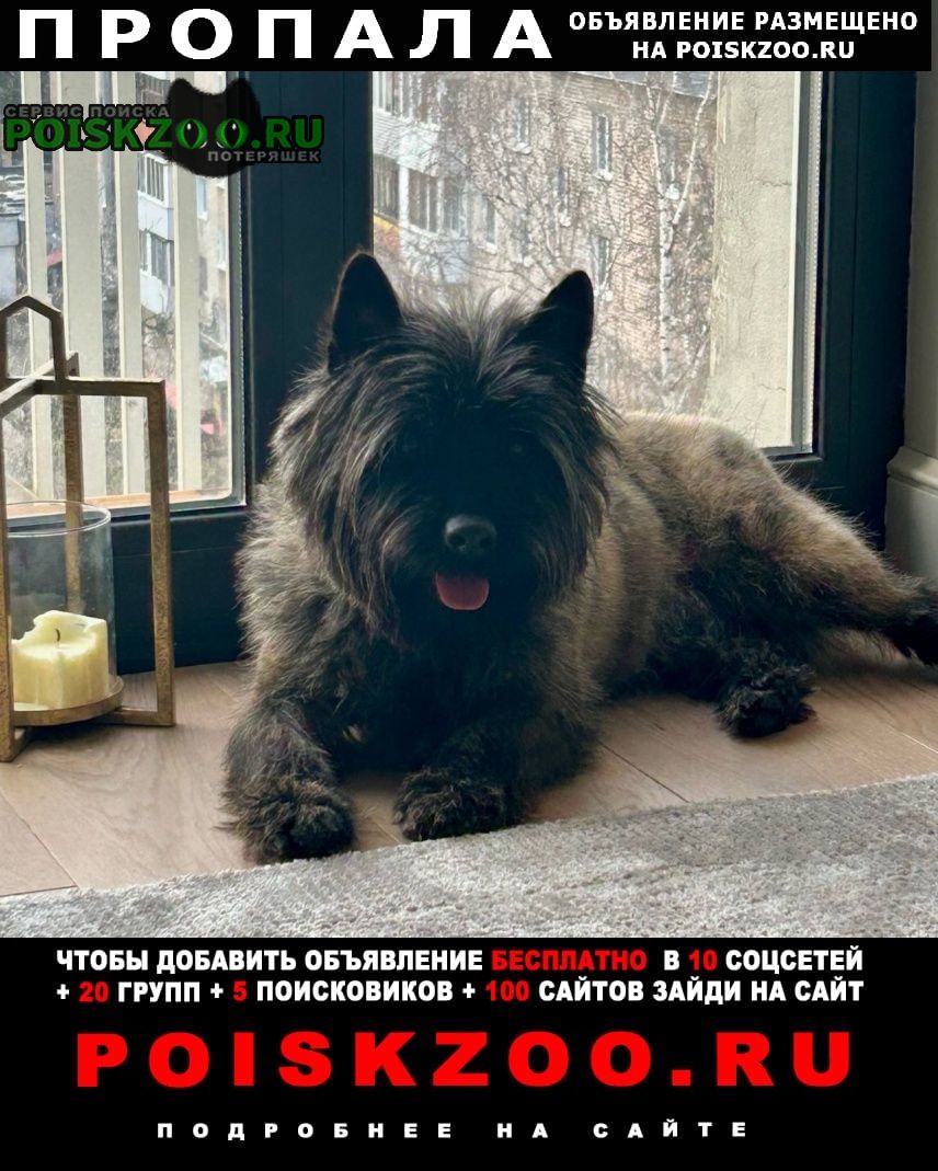 ���� ������� ������ ������