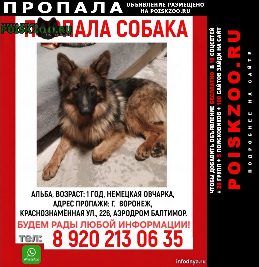 ���� ������� ������