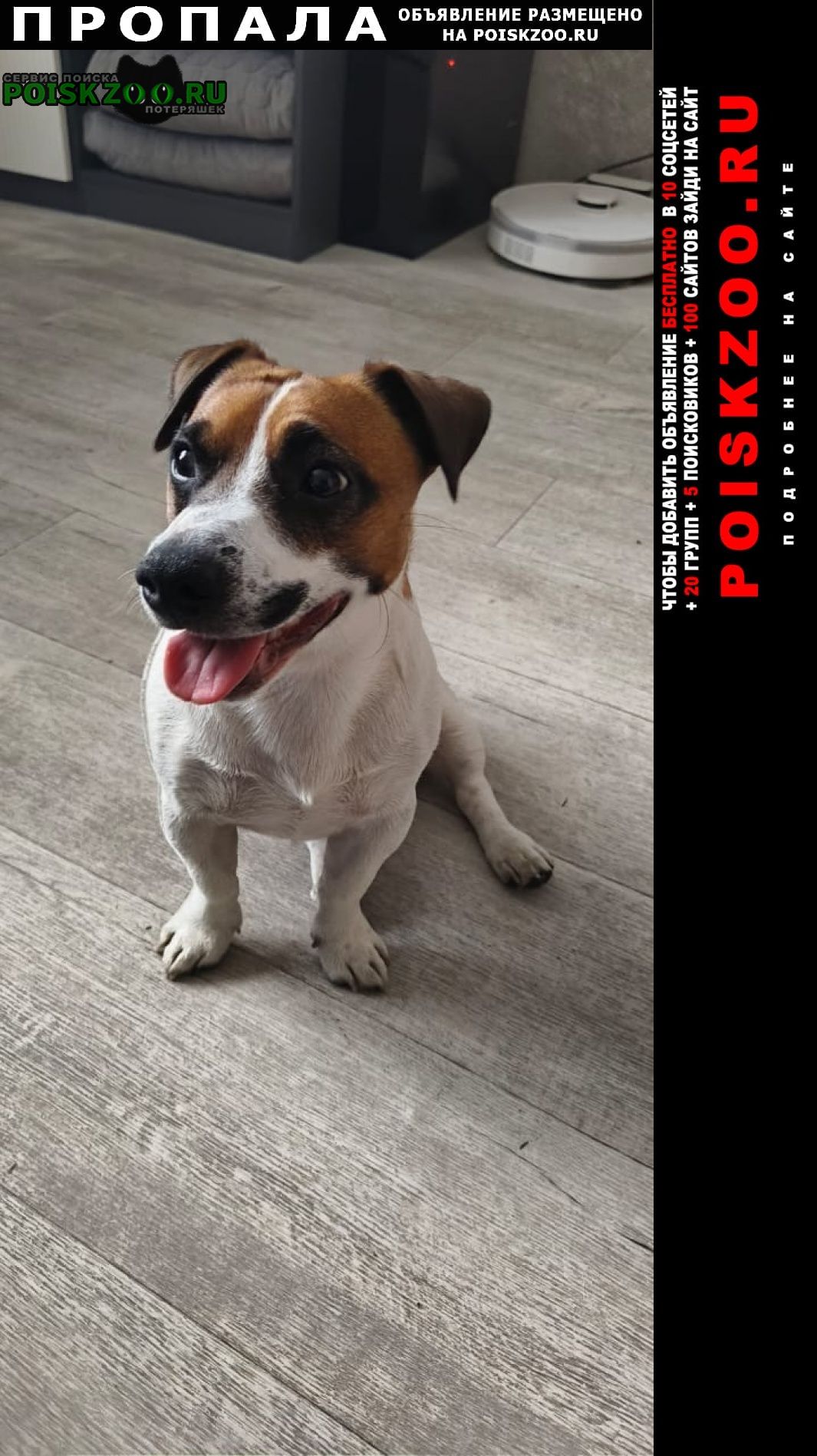 ���� ������� ������ ������ � ������ ����� �����