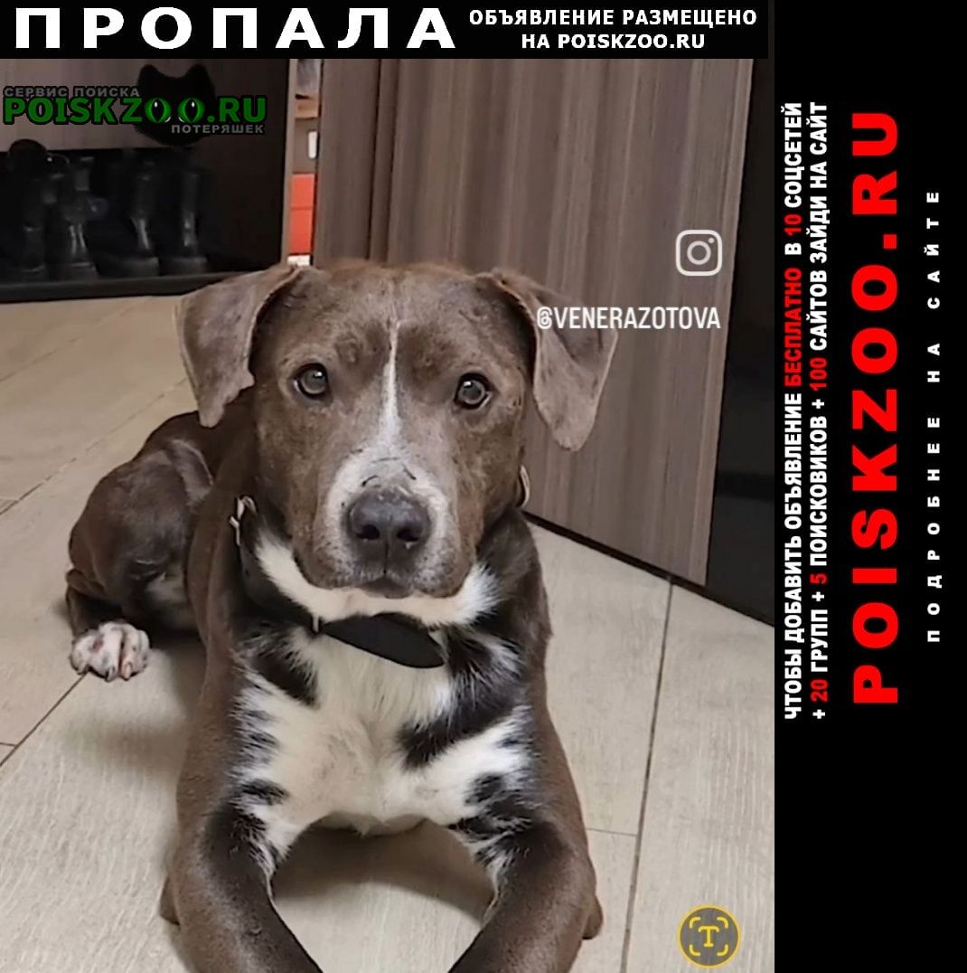 ���� ������� ������ ������