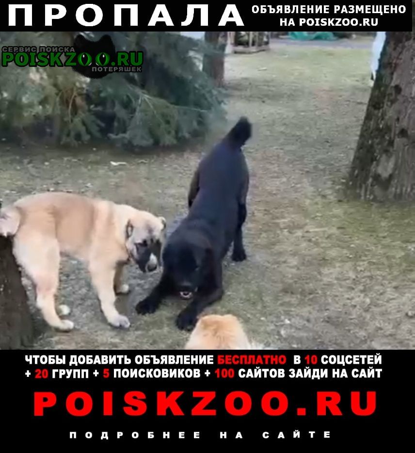   2  () 