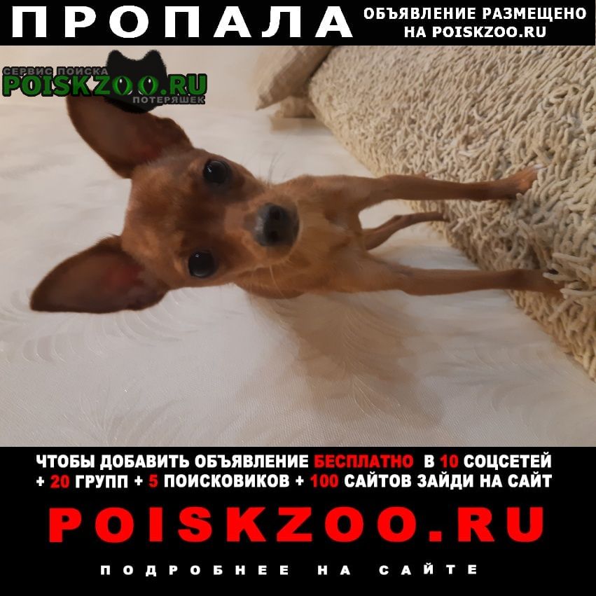   27. 07, -  