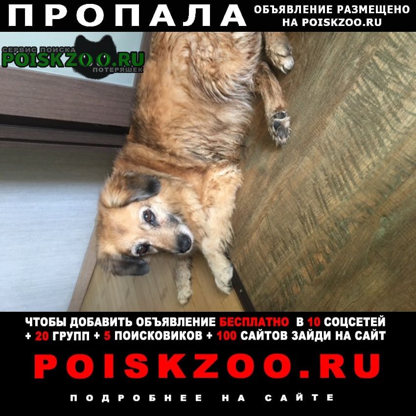   20. 08 