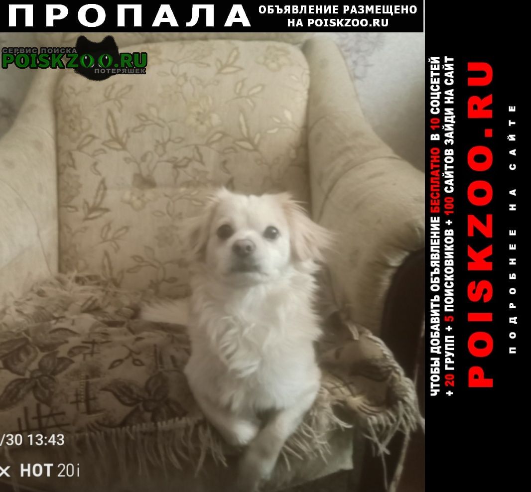 ���� ������� ������ ������ ����