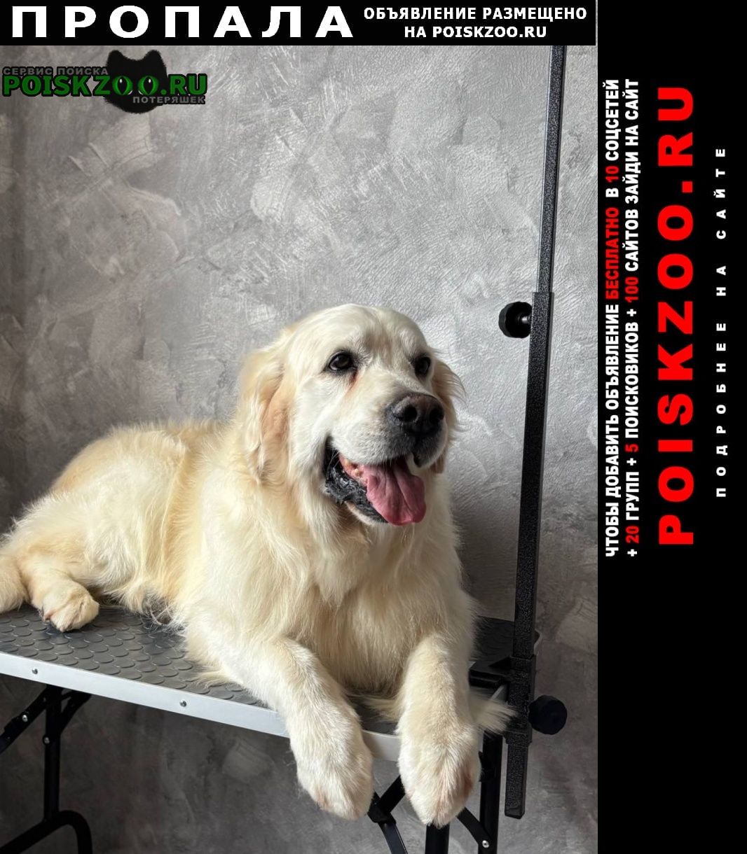 ���� ������� ������ ������ ������ ����