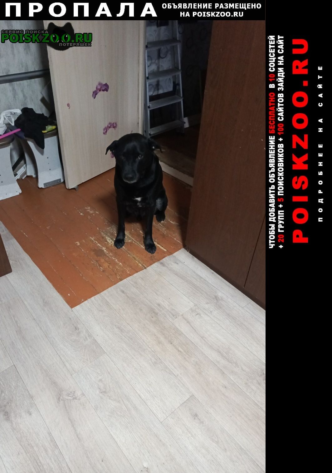 ���� ������� ������ ������ ����� ����. ����